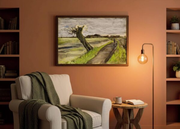 Pollard Willow - Image 2