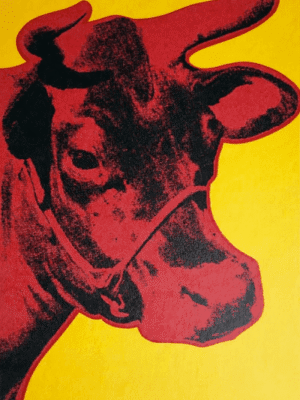 Cow