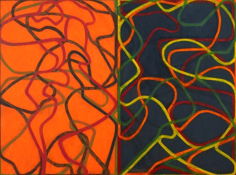 Hidden Gems: The Lesser-Known Yet Expensive Masterpieces 4 Complements by Brice Marden