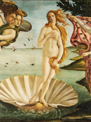 The birth of venus