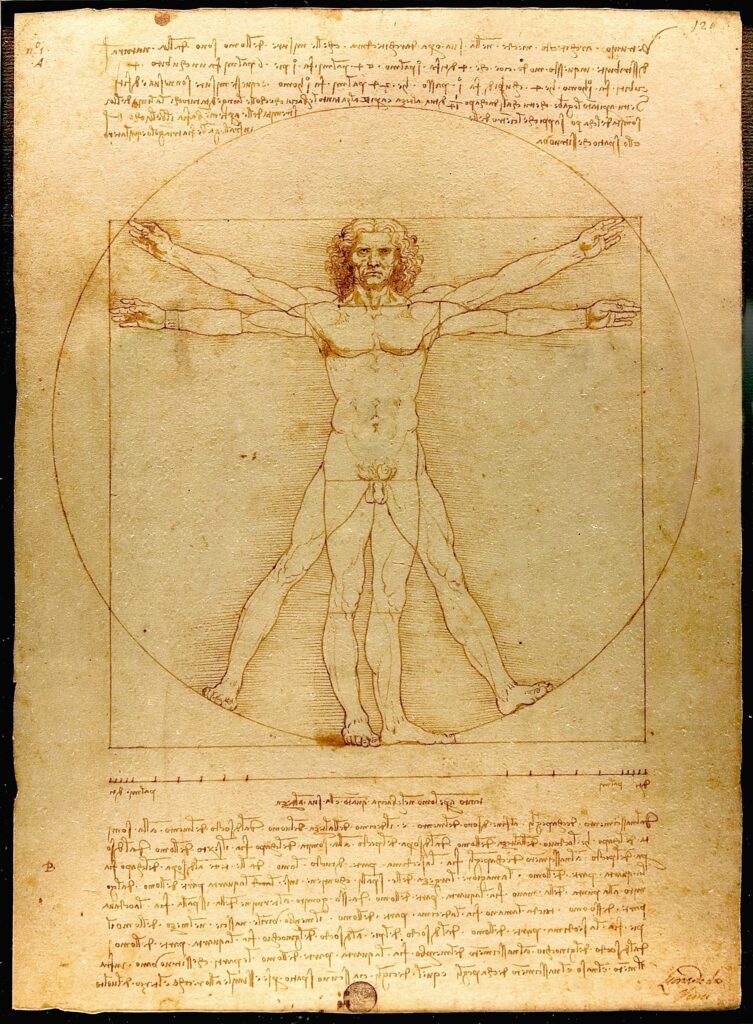 Leonardo da Vinci: The Genius Behind the Canvas 4 Vitruvian Man