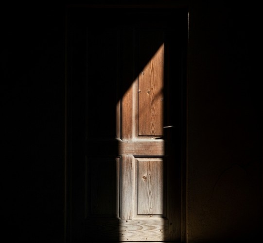 Understanding Light and Shadow in Painting 1 image that shows strong light-shadow contrast