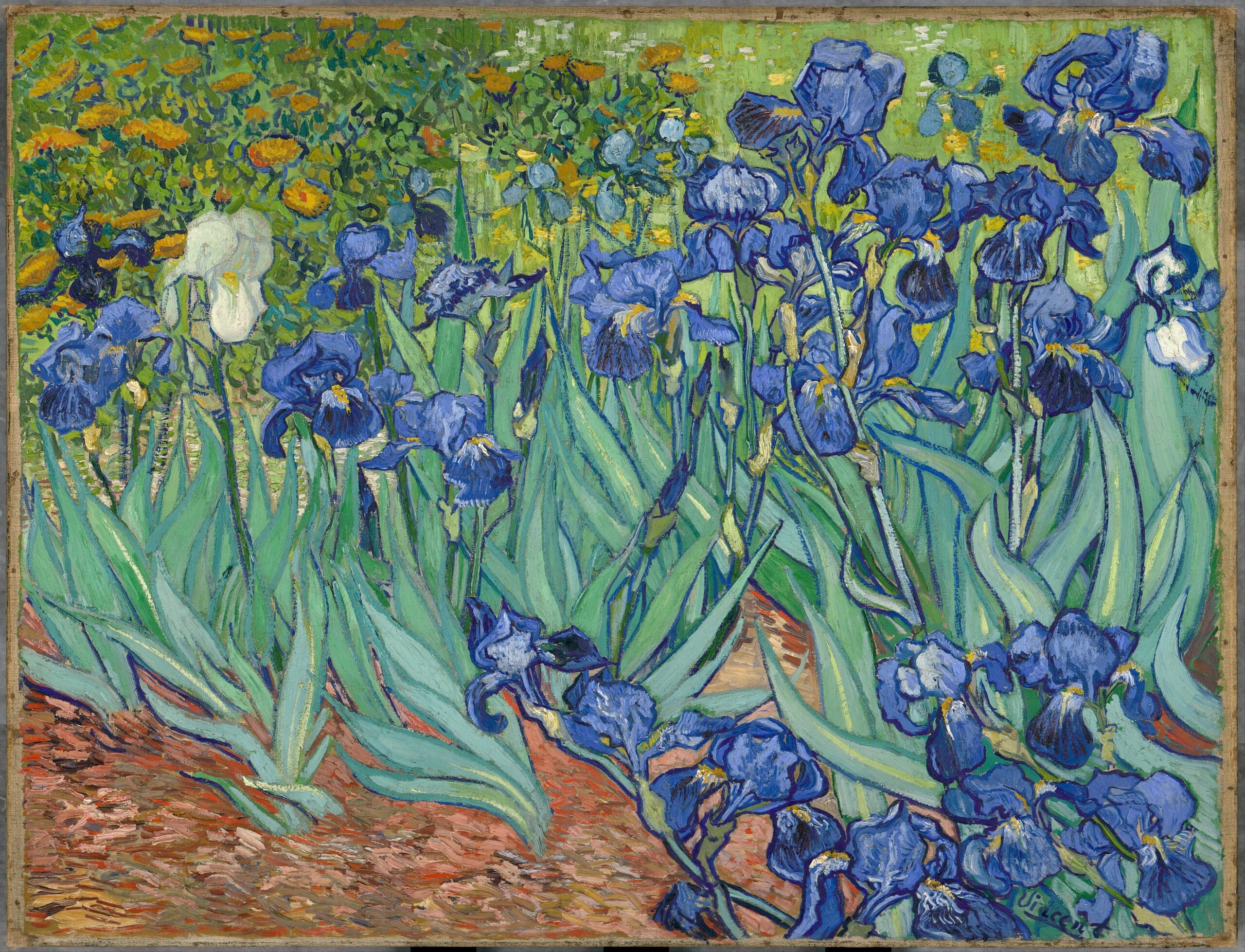 Irises by Vincent van Gogh Irises by Vincent van Gogh