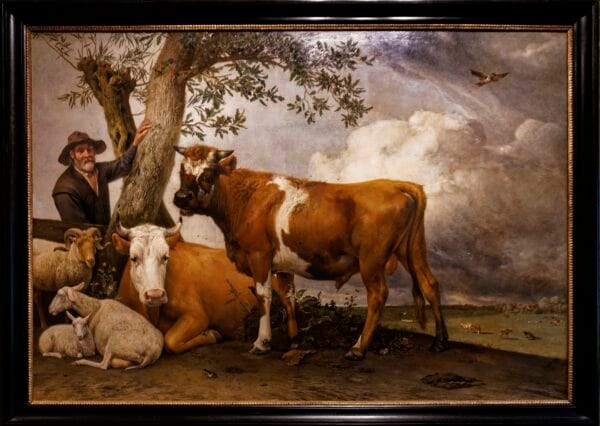 The Bull by Paulus Potter