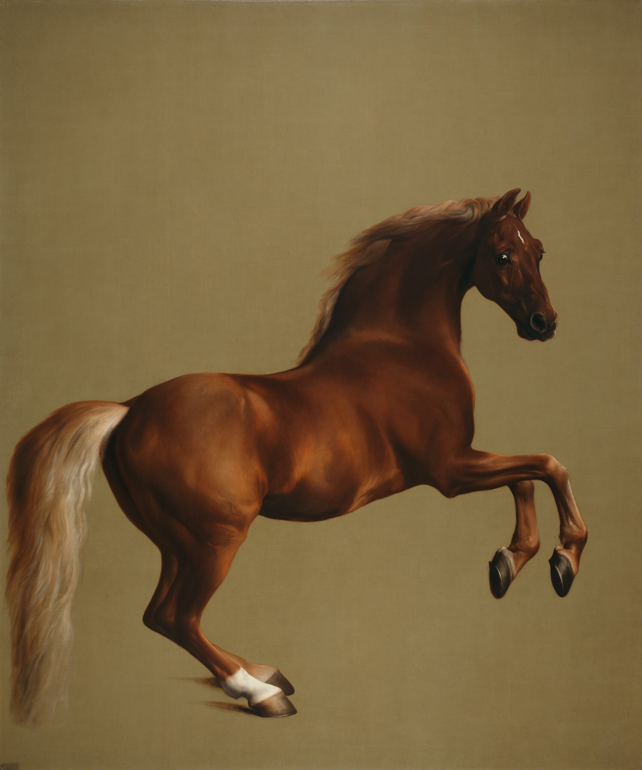 Whistlejacket by George Stubbs Whistlejacket by George Stubbs
