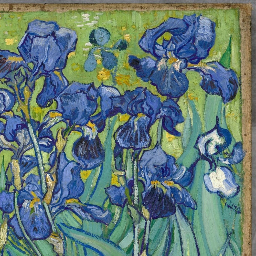 Detail of Irises by Vincent van Gogh showing the brushwork and surface texture of the painting Detail of Irises by Vincent van Gogh showing the brushwork and surface texture of the painting