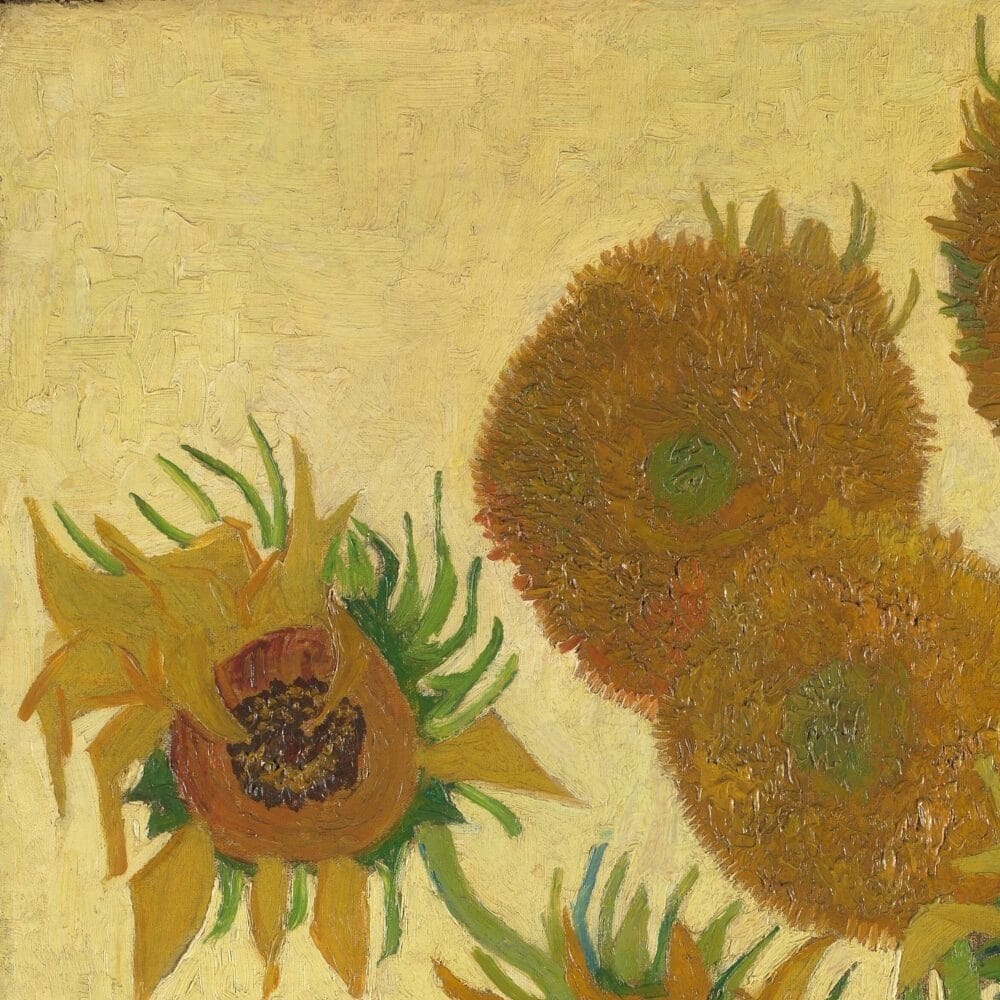 Detail of Sunflowers by Vincent van Gogh showing the brushwork and surface texture of the painting Detail of Sunflowers by Vincent van Gogh showing the brushwork and surface texture of the painting