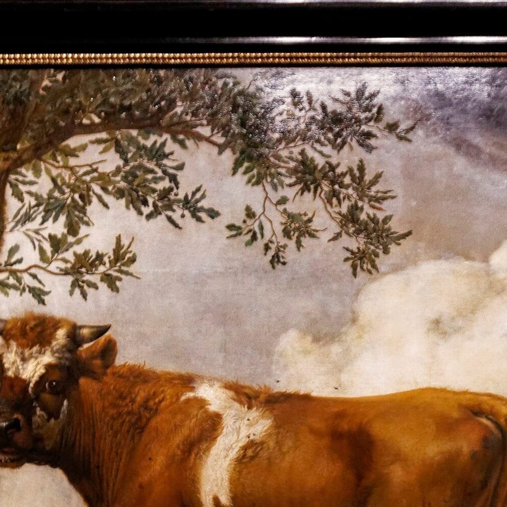 Detail of The Bull by Paulus Potter showing the brushwork and surface texture of the painting Detail of The Bull by Paulus Potter showing the brushwork and surface texture of the painting