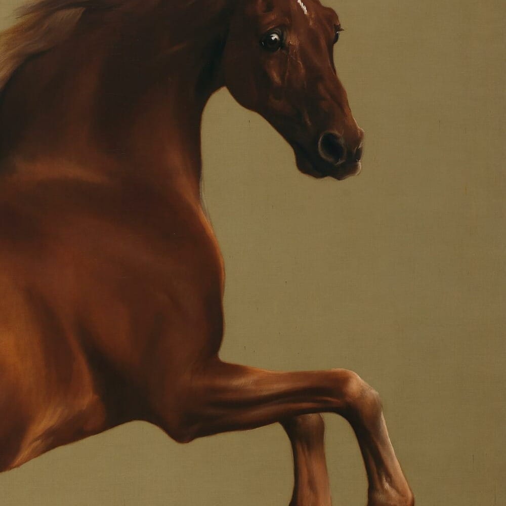 Detail of Whistlejacket by George Stubbs showing the brushwork and surface texture of the painting Detail of Whistlejacket by George Stubbs showing the brushwork and surface texture of the painting
